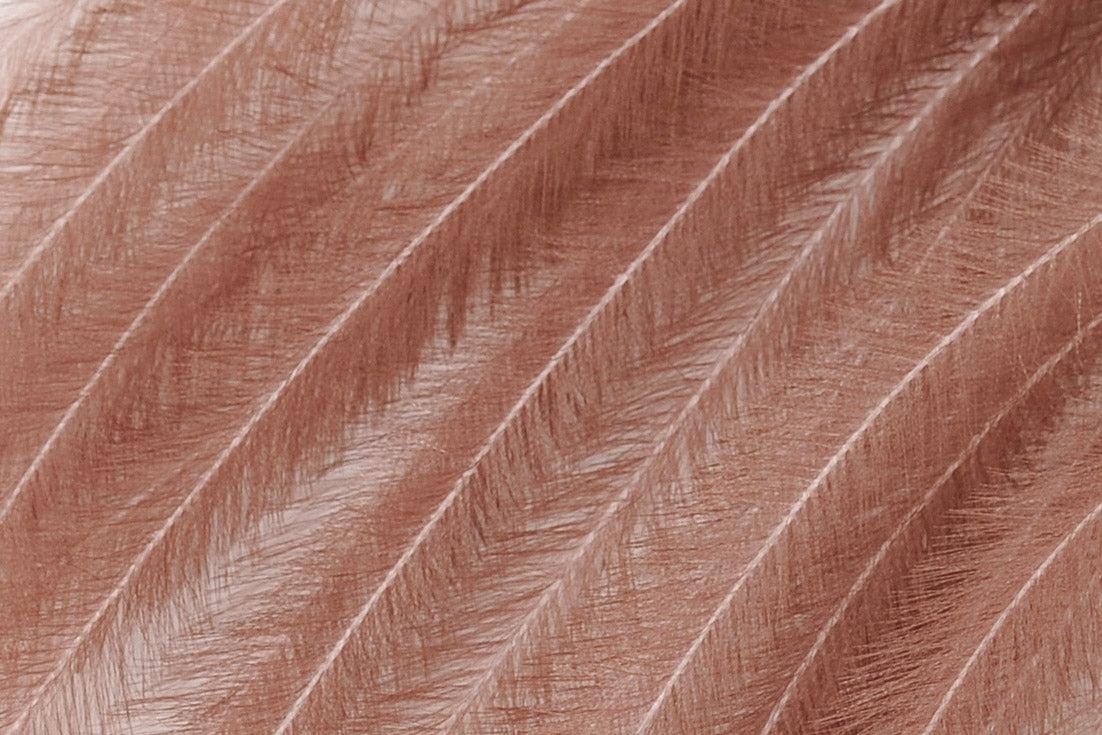 Deco pluim 'Belle plume portobello'